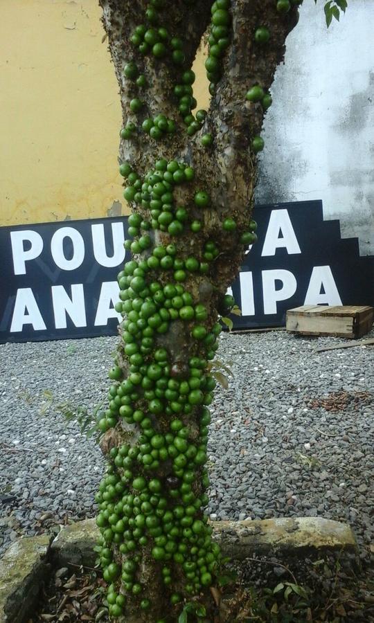 Pousada Ana Poipa Goiânia Buitenkant foto